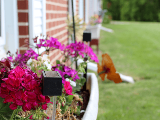 ACCURA HEALTHCARE OF CRESCO